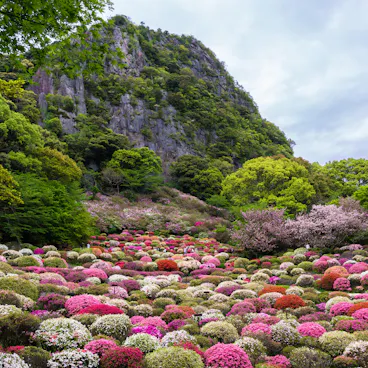 Mifuneyama Rakuen Mifuneyama Rakuen
