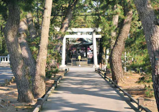 A wooden path lined with tall trees leads to a traditional Japanese torii gate and shrine in the background, surrounded by greenery and sunlight filtering through the branches.
