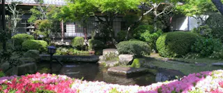 A serene Japanese garden with a pond, stone path, trimmed bushes, and flowering pink azaleas in the foreground. Traditional wooden building with shoji screens stands in the background, shaded by leafy green trees.
