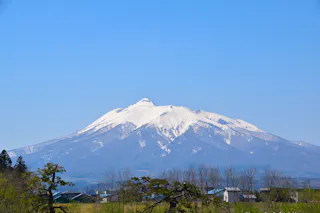 Snow-capped mountain under a clear blue sky, with leafless trees and a few buildings in the foreground.