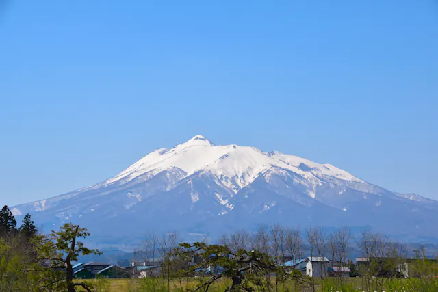 Snow-capped mountain under a clear blue sky, with leafless trees and a few buildings in the foreground.