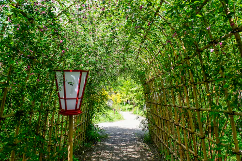 A sunlit path passes under a tunnel of green vines supported by bamboo trellises, with a traditional red and white lantern standing on the left side of the walkway. Bright foliage and trees are visible beyond the tunnel.
