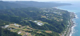 Aerial view of terraced fields and greenhouses on hills beside a coastline, with the ocean to the right and mountains in the background under a clear sky.