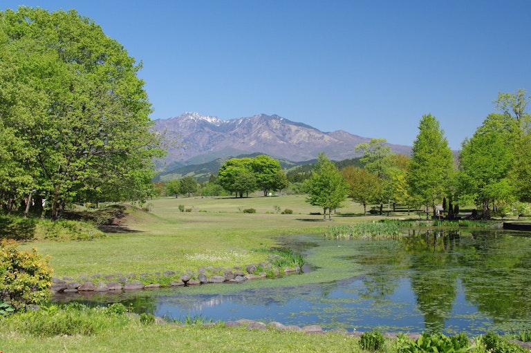 Nikko Daiyagawa Park