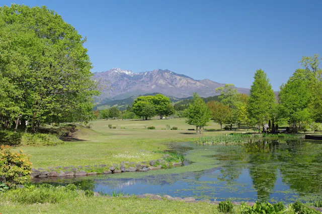 A scenic landscape with a pond surrounded by green grass and trees, under a clear blue sky. Snow-capped mountains rise in the background, and lush greenery fills the peaceful scene.