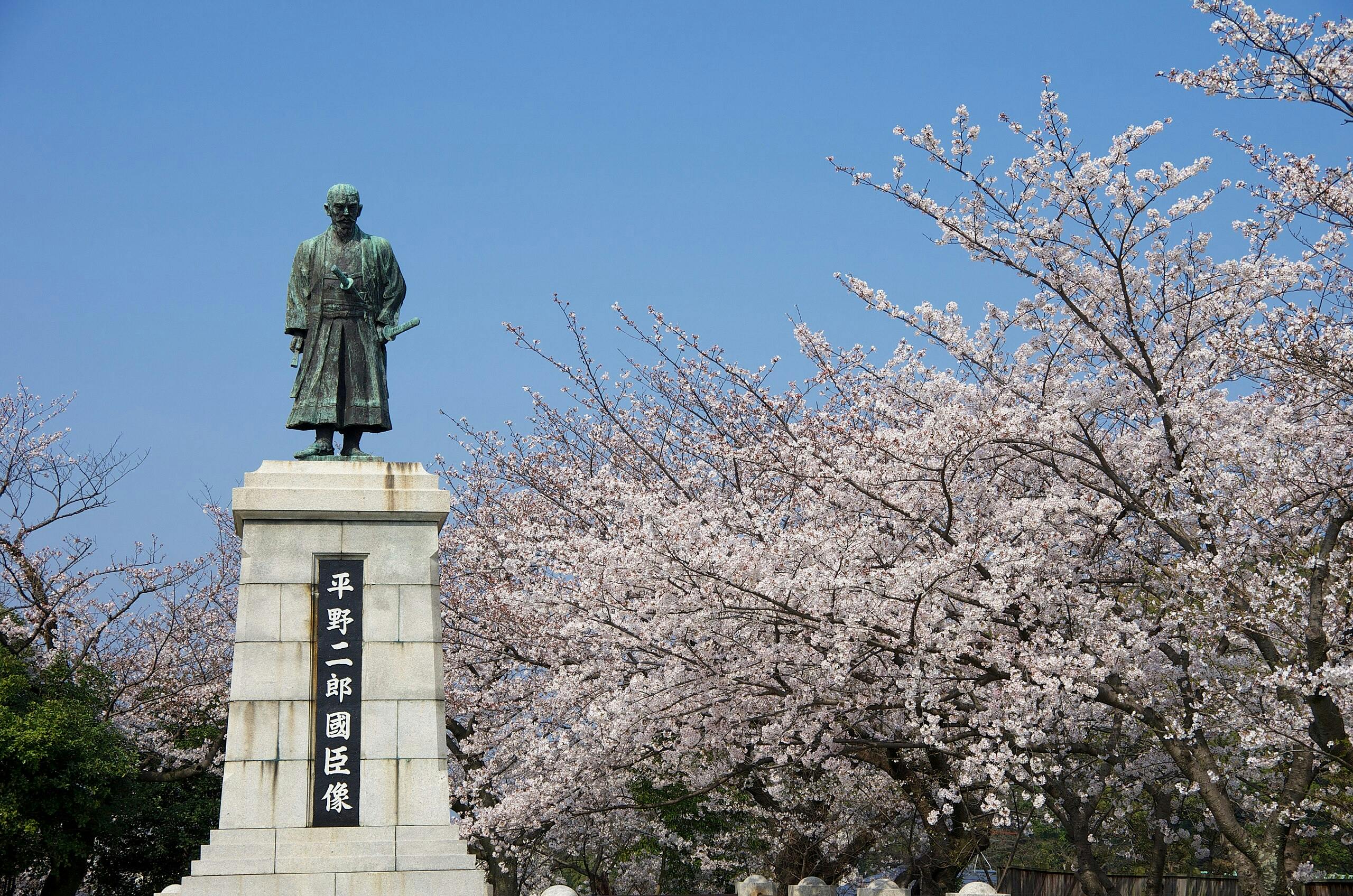 A statue of a man in traditional Japanese attire stands on a stone pedestal, surrounded by blooming cherry blossom trees under a clear blue sky. The pedestal has Japanese characters inscribed on it.