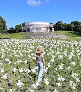 A woman in a hat and light clothes walks through a field of blooming white lilies, facing a round white building in the distance under a bright blue sky.