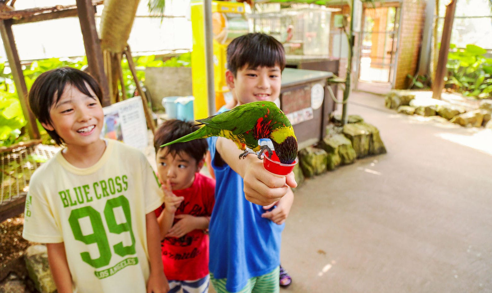 Three smiling children stand together in an indoor tropical enclosure while one boy holds a cup, feeding a colorful parrot perched on his hand. The background has lush greenery and animal enclosures.