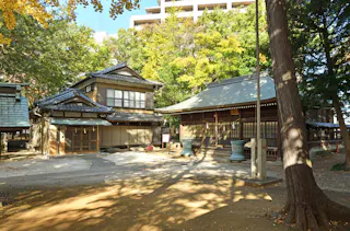 A traditional Japanese shrine with wooden buildings, tiled roofs, and a courtyard shaded by tall trees. Sunlight filters through the leaves, casting dappled shadows on the ground. A modern building is visible in the background.
