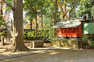 A small red Shinto shrine stands in a peaceful wooded area, surrounded by tall trees and dappled sunlight. A stone bench sits nearby, and fallen leaves cover the ground.