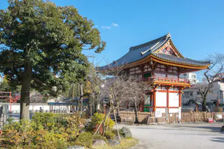 A traditional Japanese temple with red and white wooden architecture stands beside a large tree and garden, under a clear blue sky on a sunny day. There are some bare trees and a wooden fence in the foreground.