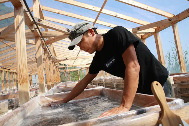 A person in a black t-shirt and cap works with their hands in a shallow, clear water tank inside a wooden structure with a transparent roof, possibly involved in traditional food or craft production.