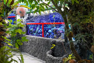 A large aquarium with colorful coral and marine life is set into a rocky wall, surrounded by lush green plants and trees in a garden setting.