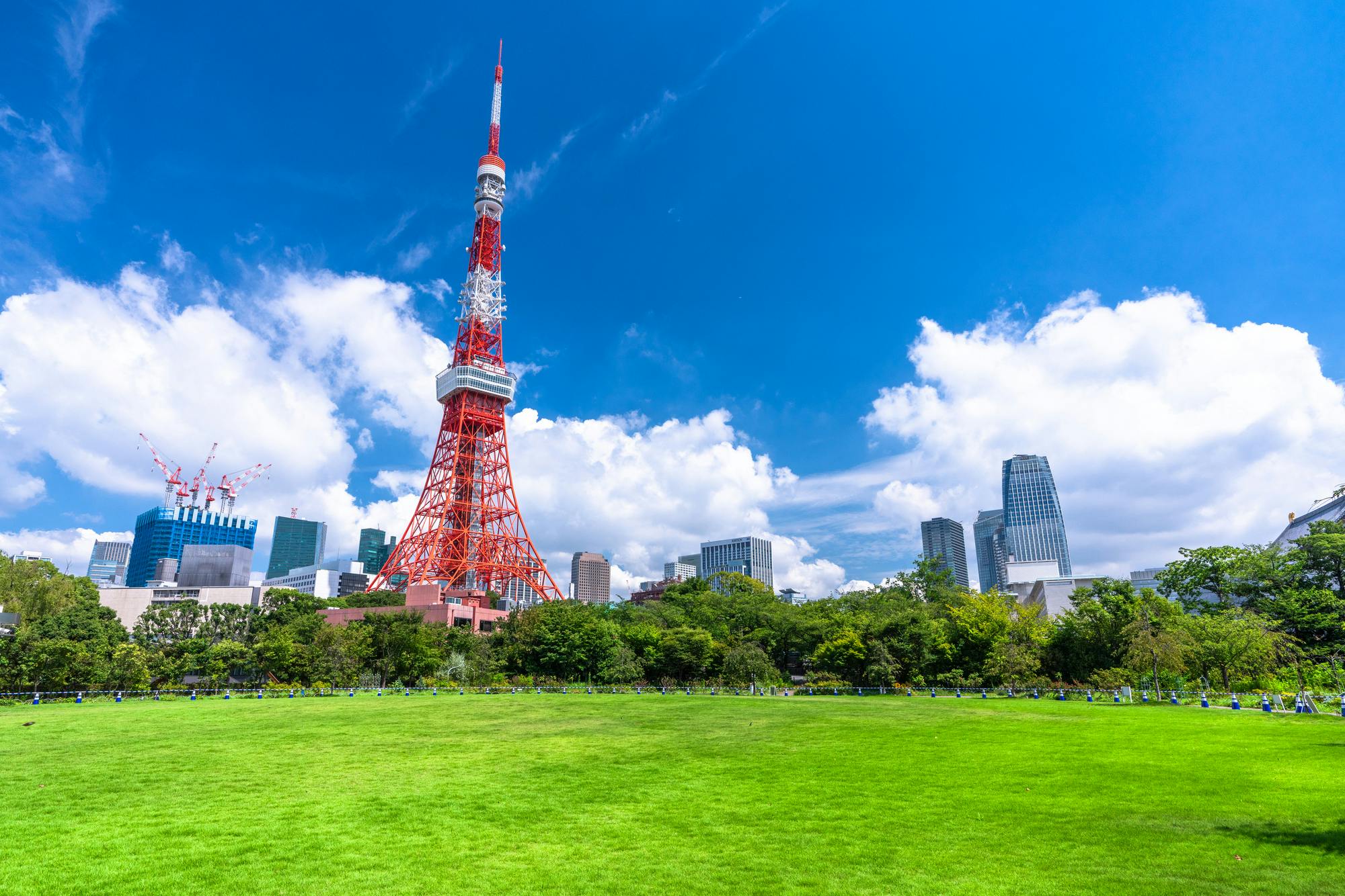 Tokyo Tower stands tall against a bright blue sky with white clouds, surrounded by modern buildings and lush green trees in the foreground, overlooking a large grassy field.