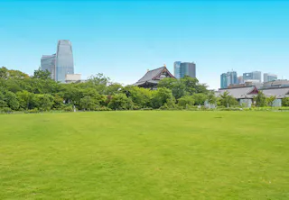A wide grassy lawn with trees and traditional Japanese buildings in the background, contrasted by modern skyscrapers under a clear blue sky.