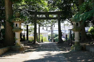 A stone torii gate stands at the entrance to a shaded path, flanked by two traditional lanterns, with trees overhead and buildings visible in the background on a sunny day.