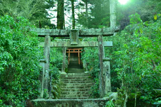 A moss-covered stone torii gate stands at the base of stone steps leading up to a wooden shrine, surrounded by lush green foliage and tall trees, with sunlight filtering through the leaves.