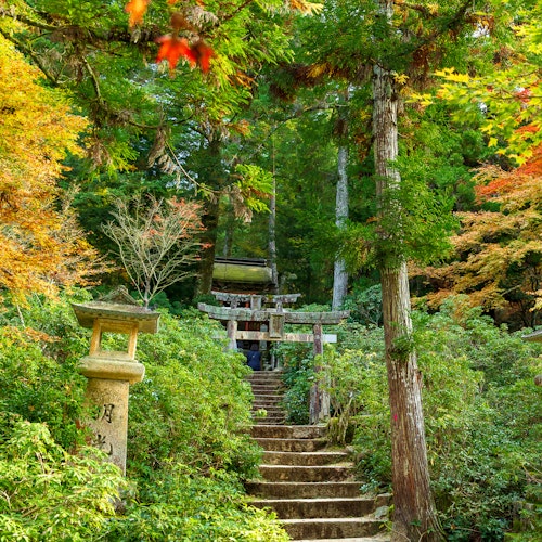 Shinomiya Shrine Shinomiya Shrine
