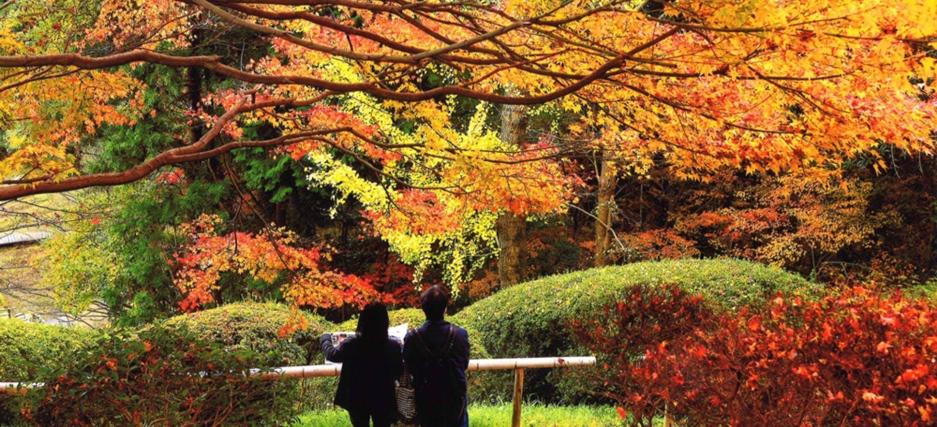 Shiranoe Botanical Gardens