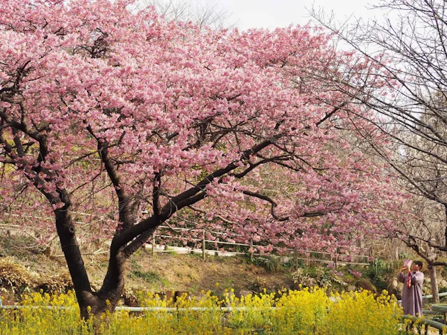 Shiranoe Botanical Gardens
