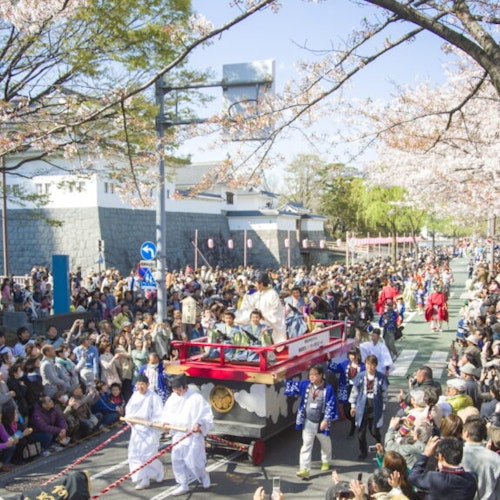 Shizuoka Matsuri Shizuoka Matsuri