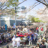 Shizuoka Matsuri Shizuoka Matsuri