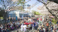 Shizuoka Matsuri
