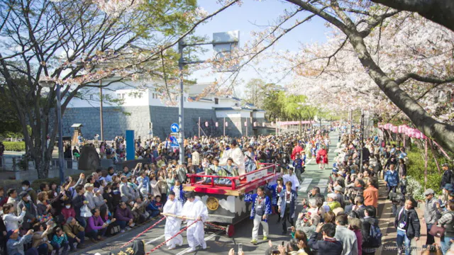 Shizuoka Matsuri