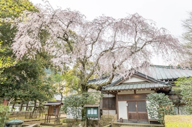 Sōun-ji