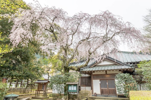 Sōun-ji