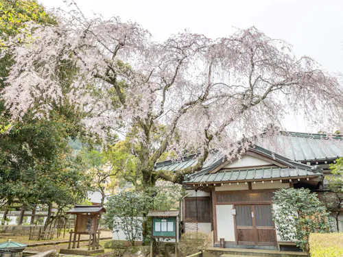 Sōun-ji Sōun-ji