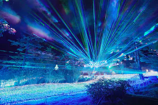 Synesthesia Hills Illumination