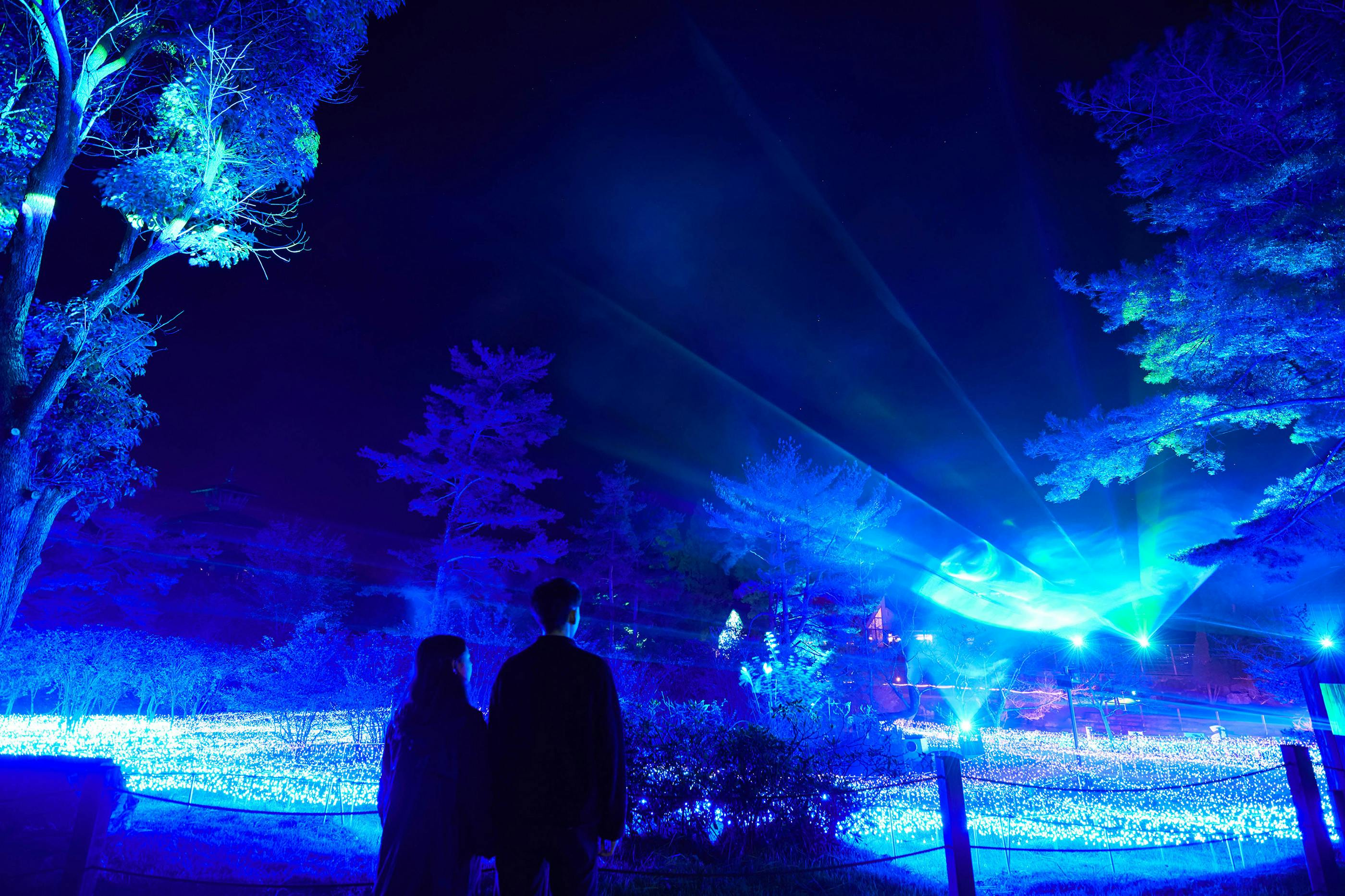 Synesthesia Hills Illumination