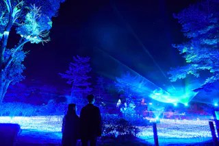 Synesthesia Hills Illumination