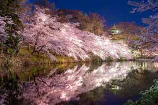 Takada Castle Site Park