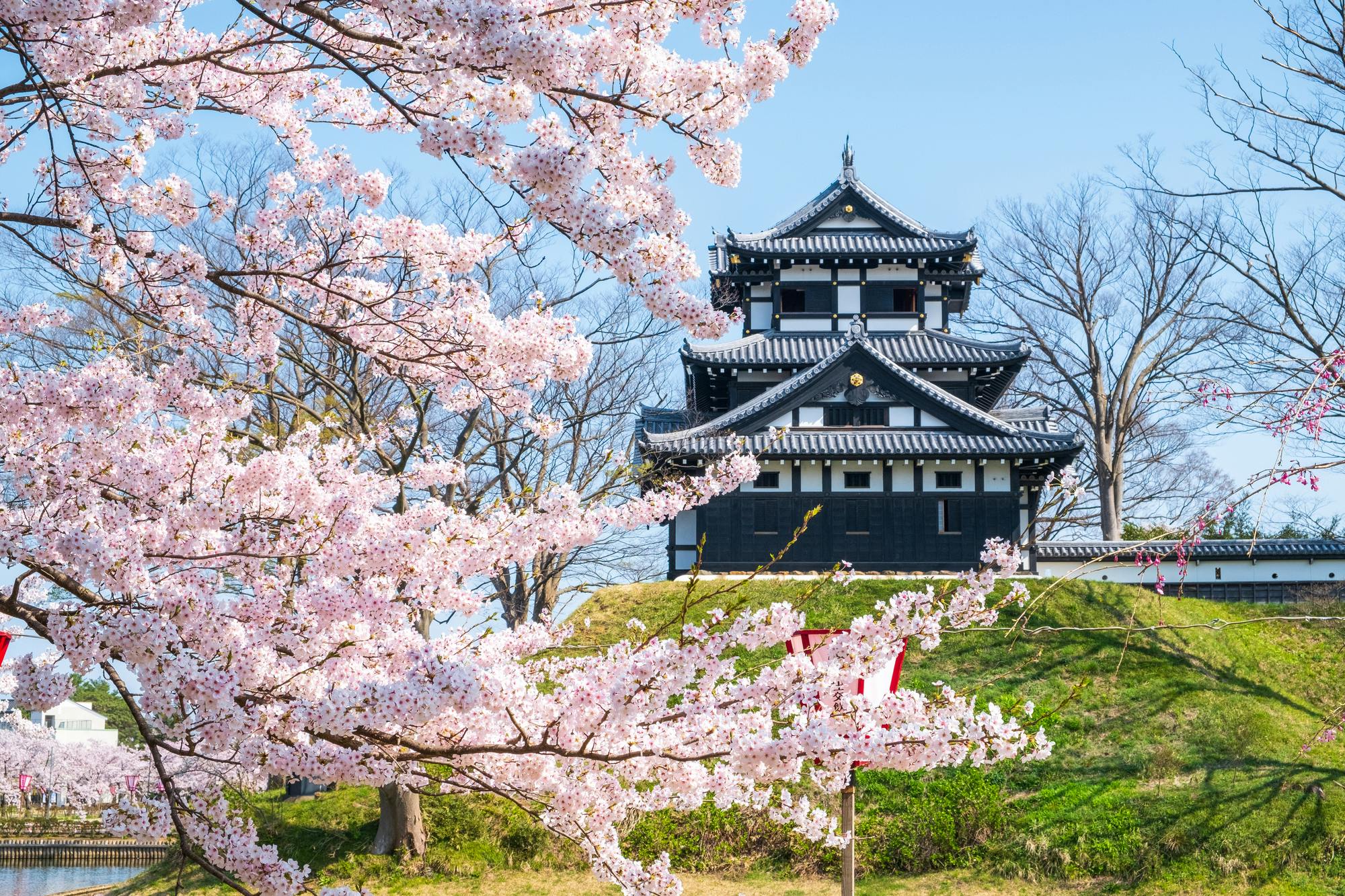 Takada Castle Site Park