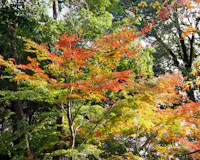 Takanawa Mori no Park