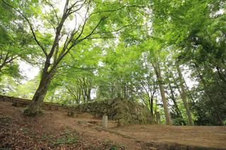 Takayama Castle Ruins