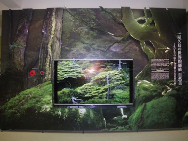 Yakushima World Heritage Conservation Center