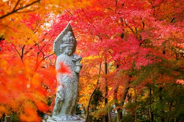 Zenrinji (Eikando) Temple