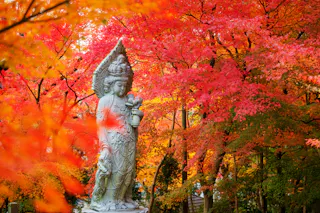 Zenrinji (Eikando) Temple