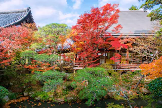 Zenrinji (Eikando) Temple