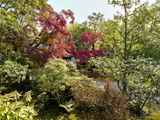 Koko-en Garden