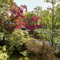 Koko-en Garden Koko-en Garden