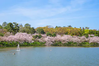 Flower Expo Memorial Park Tsurumi Ryokuchi