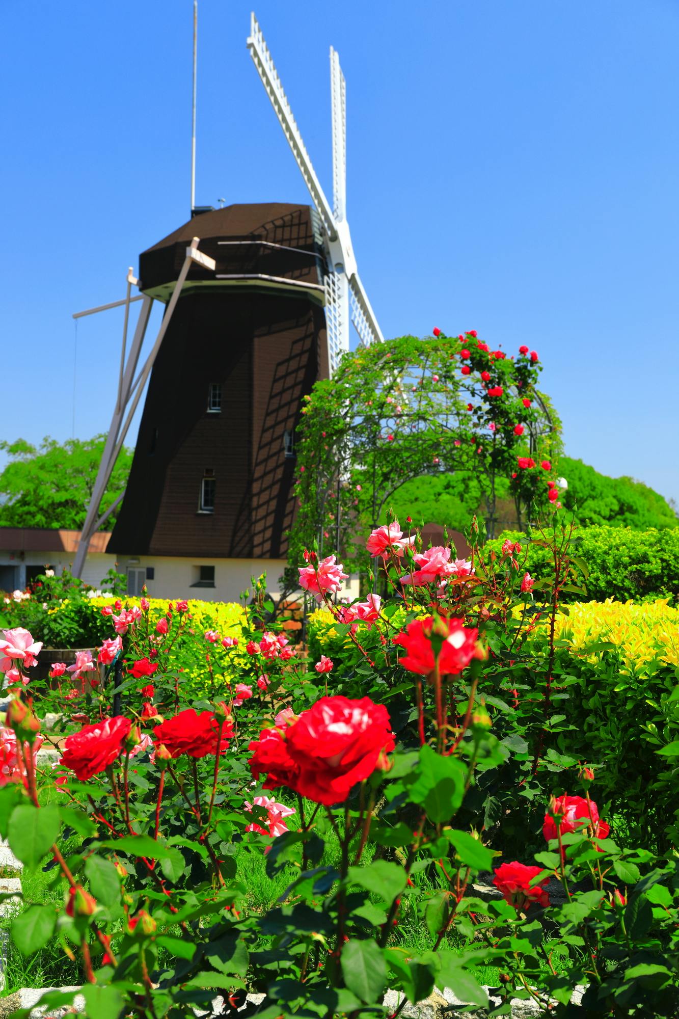 Flower Expo Memorial Park Tsurumi Ryokuchi