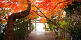 Shoutengu Saikoji Temple
