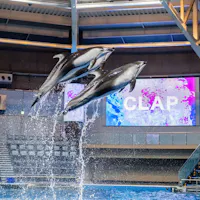 Maxell Aqua Park Shinagawa Maxell Aqua Park Shinagawa