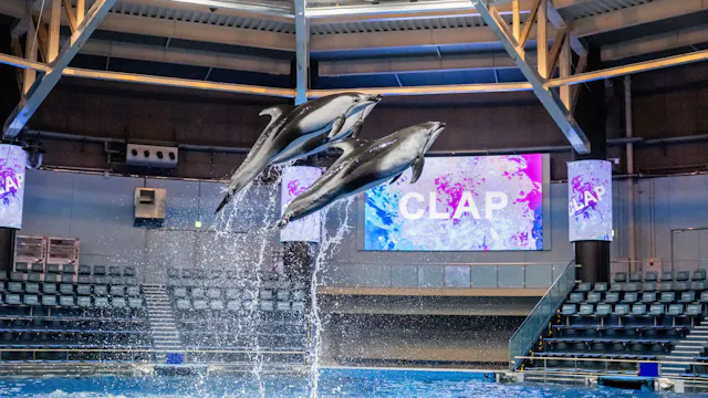 Maxell Aqua Park Shinagawa