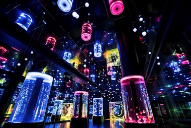 Maxell Aqua Park Shinagawa